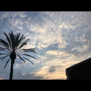 Meet your Posher, Joseph